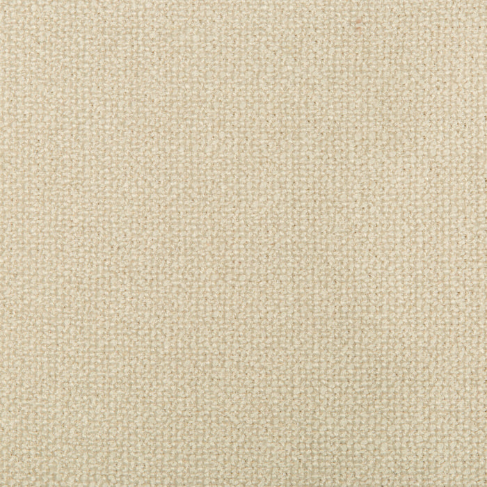 Kravet Smart 35379.111.0 Fabric