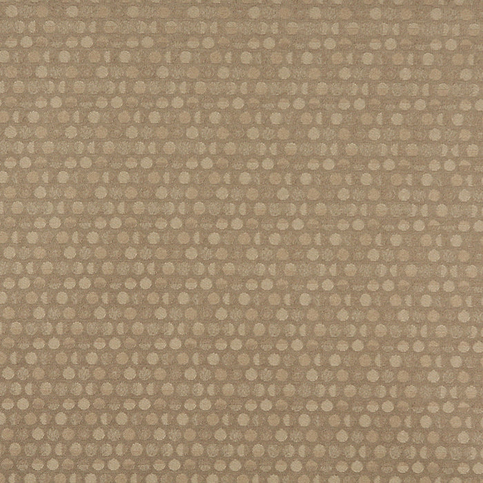 Charlotte Buff Fabric Sample 3576