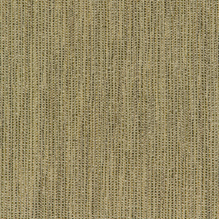 Kravet Smart 35965 316 Fabric 35965.316.0