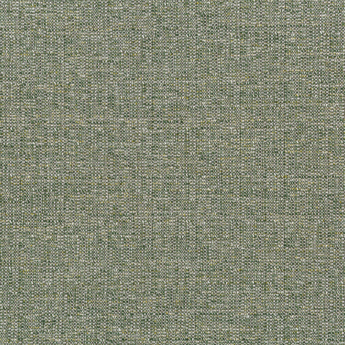 Kravet Smart 35970 3 Fabric 35970.3.0