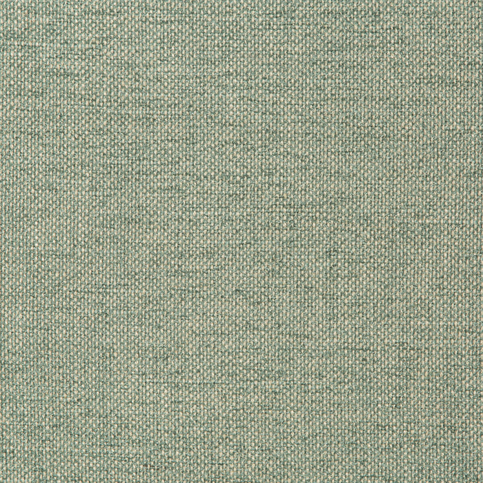 Kravet Smart 35989 13 Fabric 35989.13.0