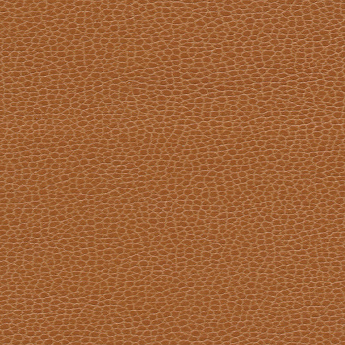 Schumacher Promessa Saddle Fabric Sample 363-3140