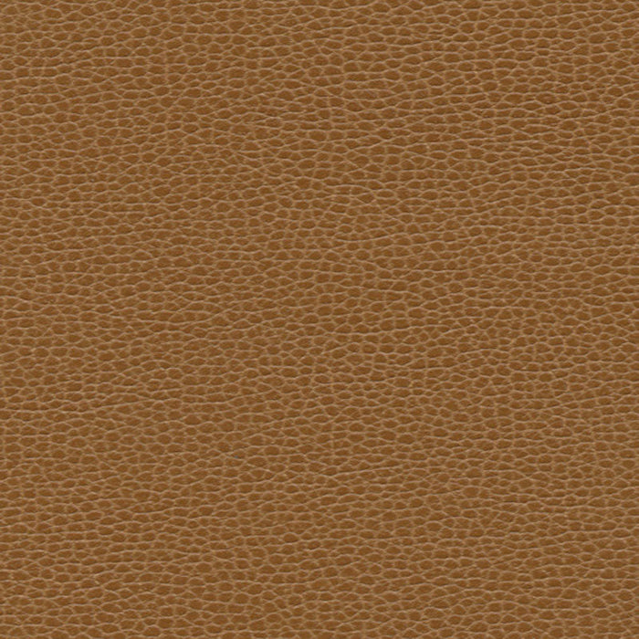 Schumacher Promessa Bronze Fabric Sample 363-3145