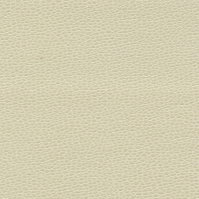 Schumacher Promessa Parchment Fabric Sample 363-3152