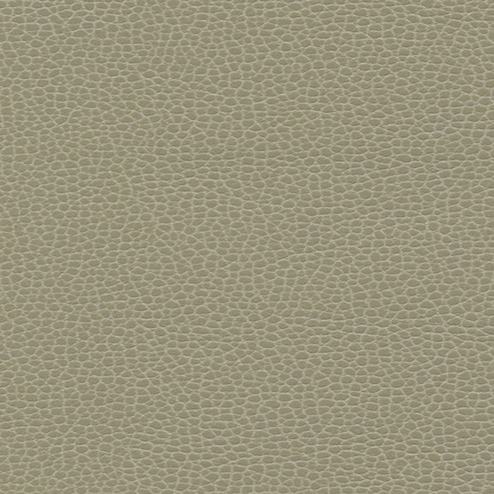 Schumacher Promessa Taupe Fabric Sample 363-3463