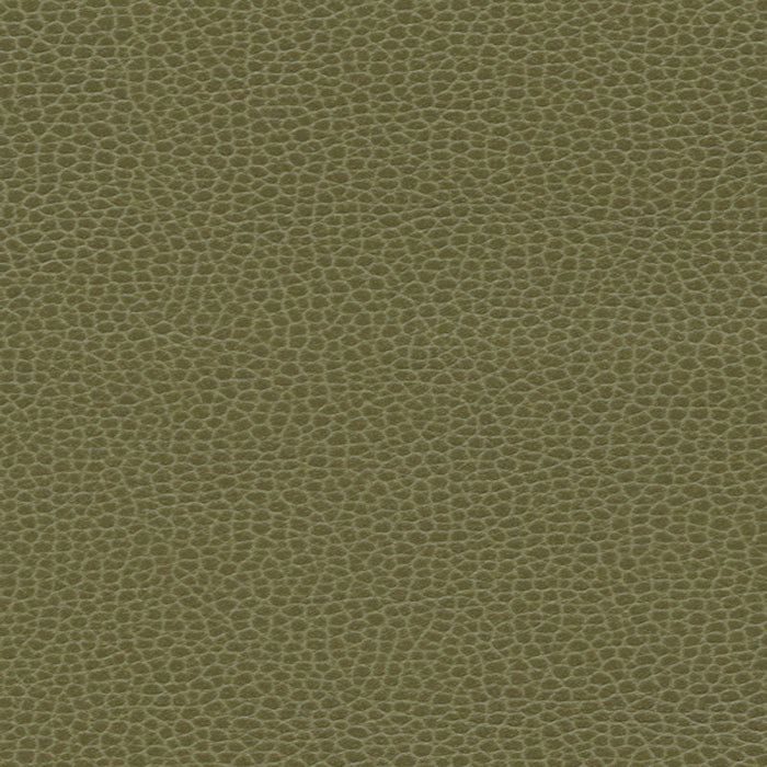 Schumacher Promessa Moss Fabric Sample 363-4514