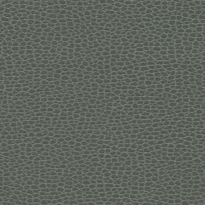 Schumacher Promessa Shale Fabric Sample 363-5817