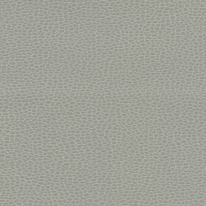 Schumacher Promessa Ash Fabric Sample 363-5818