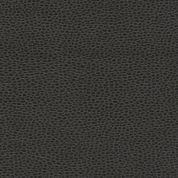 Schumacher Promessa Ebony Fabric Sample 363-5845