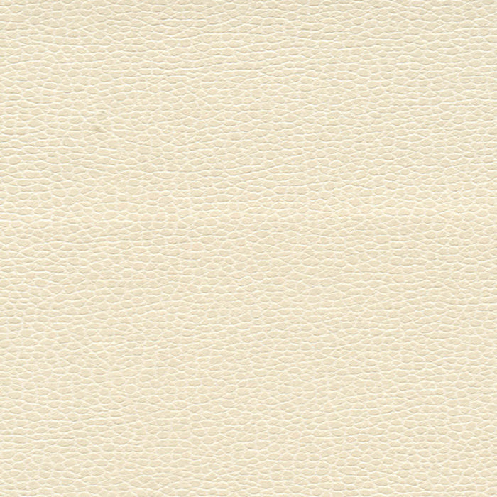 Schumacher Promessa Pearl Fabric Sample 363-5848