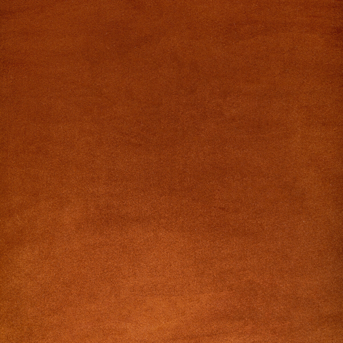 Kravet Contract Rocco Velvet Spice Fabric 36652.24.0