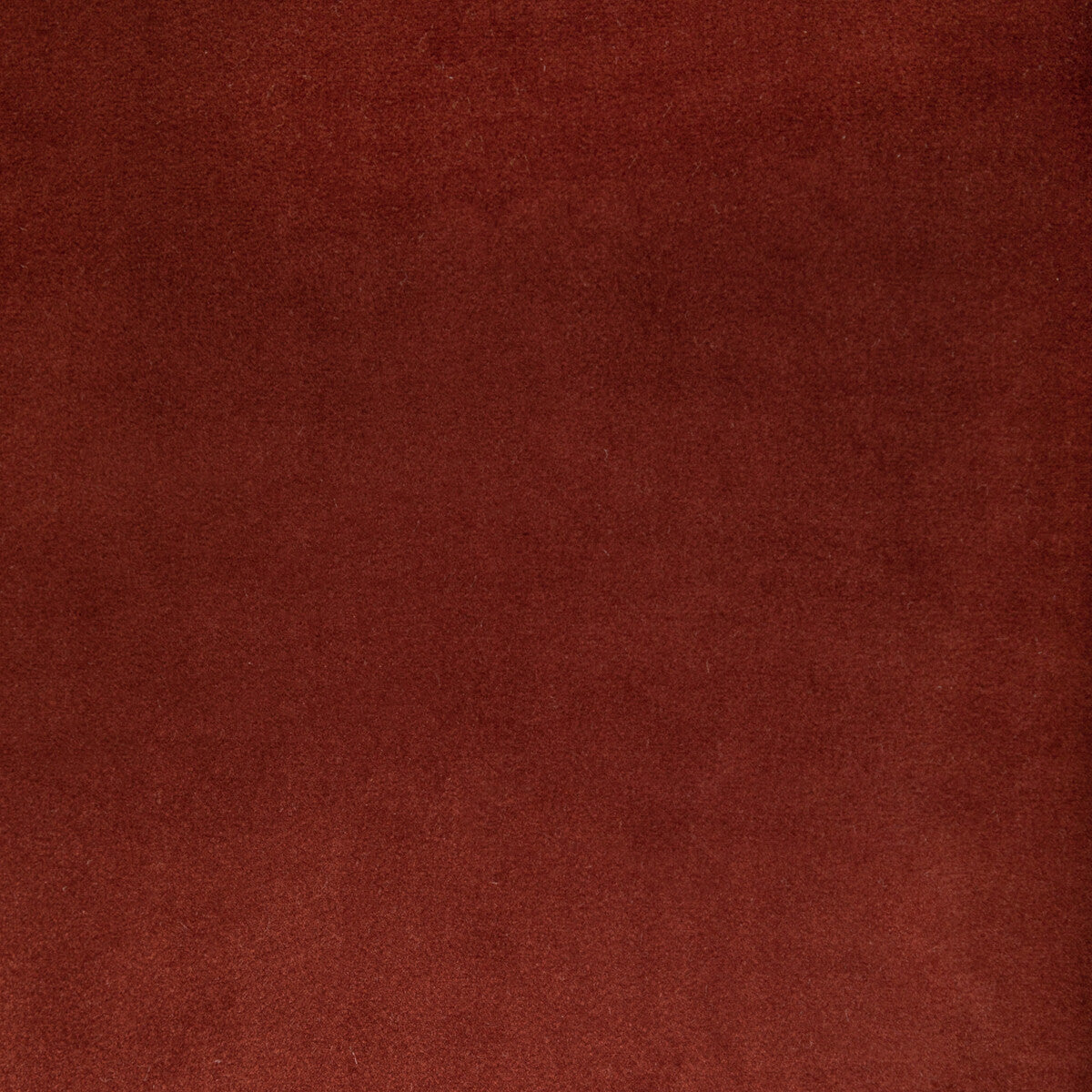 Kravet Contract Rocco Velvet Clay Fabric 36652.624.0