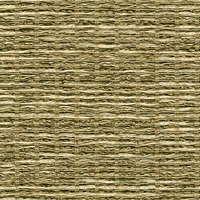 Kravet Couture Bejo Sheer Patina Fabric 3668.106.0