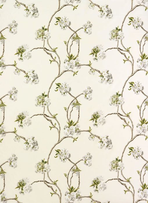 Nina Campbell Orchard Blossom 5 Fabric NCF3912-05