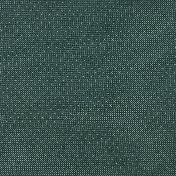 Charlotte Aspen Fabric Sample 3803