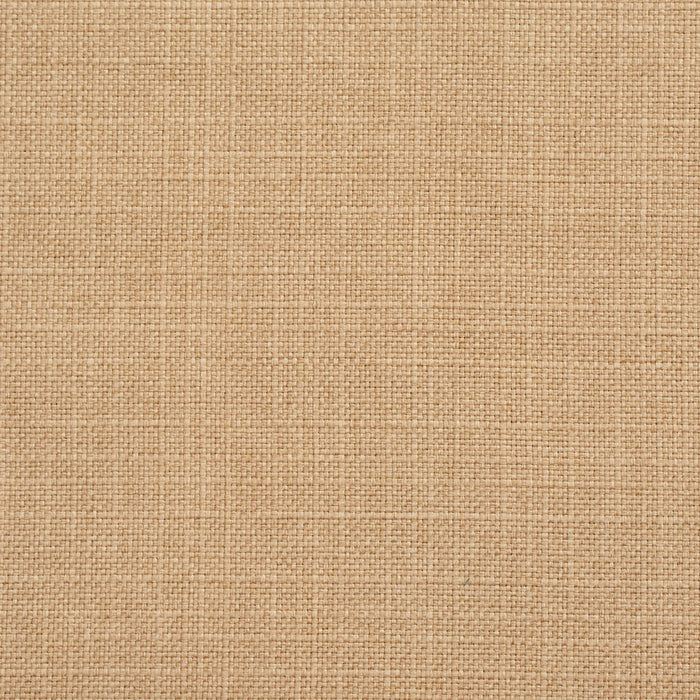 Charlotte Straw Fabric Sample 3910