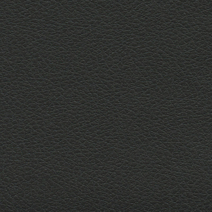 Schumacher Brisa Soleil Black Onyx Fabric Sample 393-5749