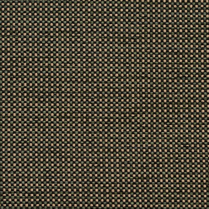 Charlotte Alpine Fabric 4115