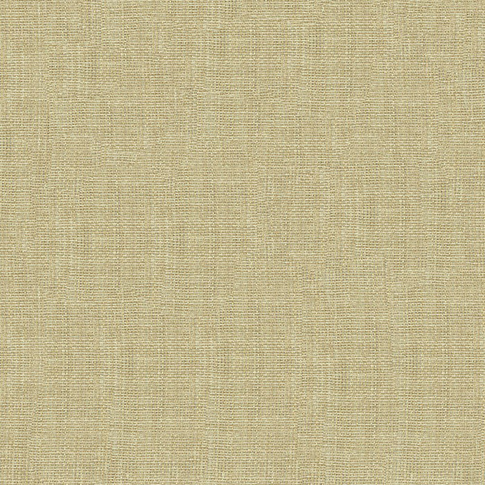 Kravet Basics 4118 1116 Fabric 4118.1116.0