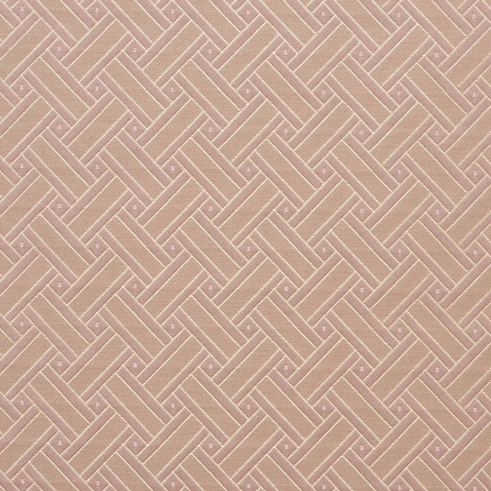 Charlotte Primrose Lattice Fabric 4130