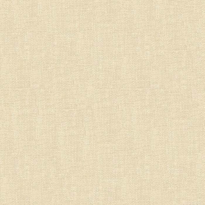 Kravet Contract Kravet Contract 4161-1 Fabric Sample 4161.1