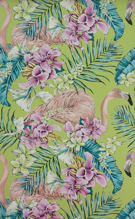 Matthew Williamson Flamingo Club 2 Wallpaper W6800-02