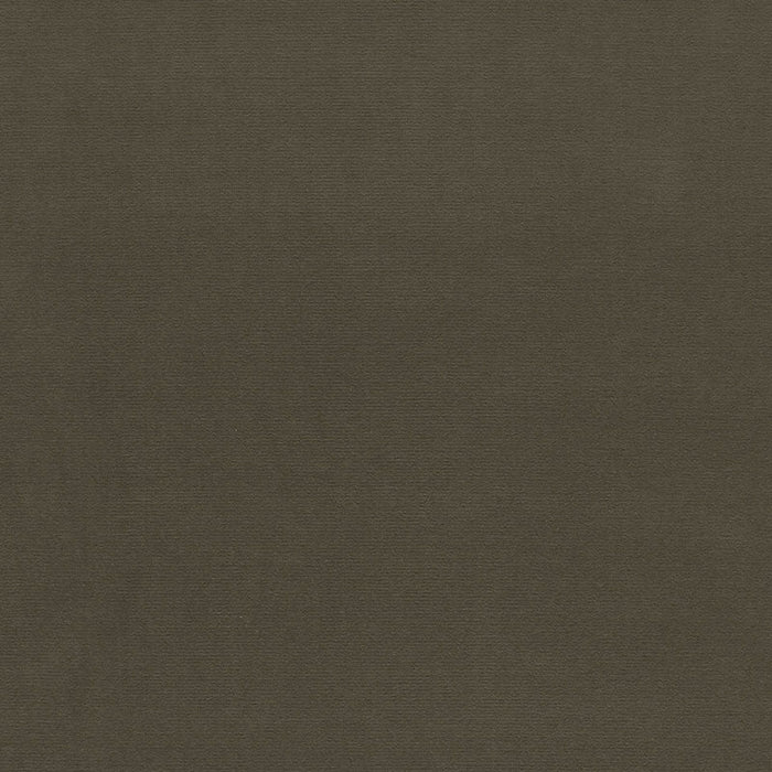 Schumacher Gainsborough Velvet Eucalyptus Fabric Sample 42861