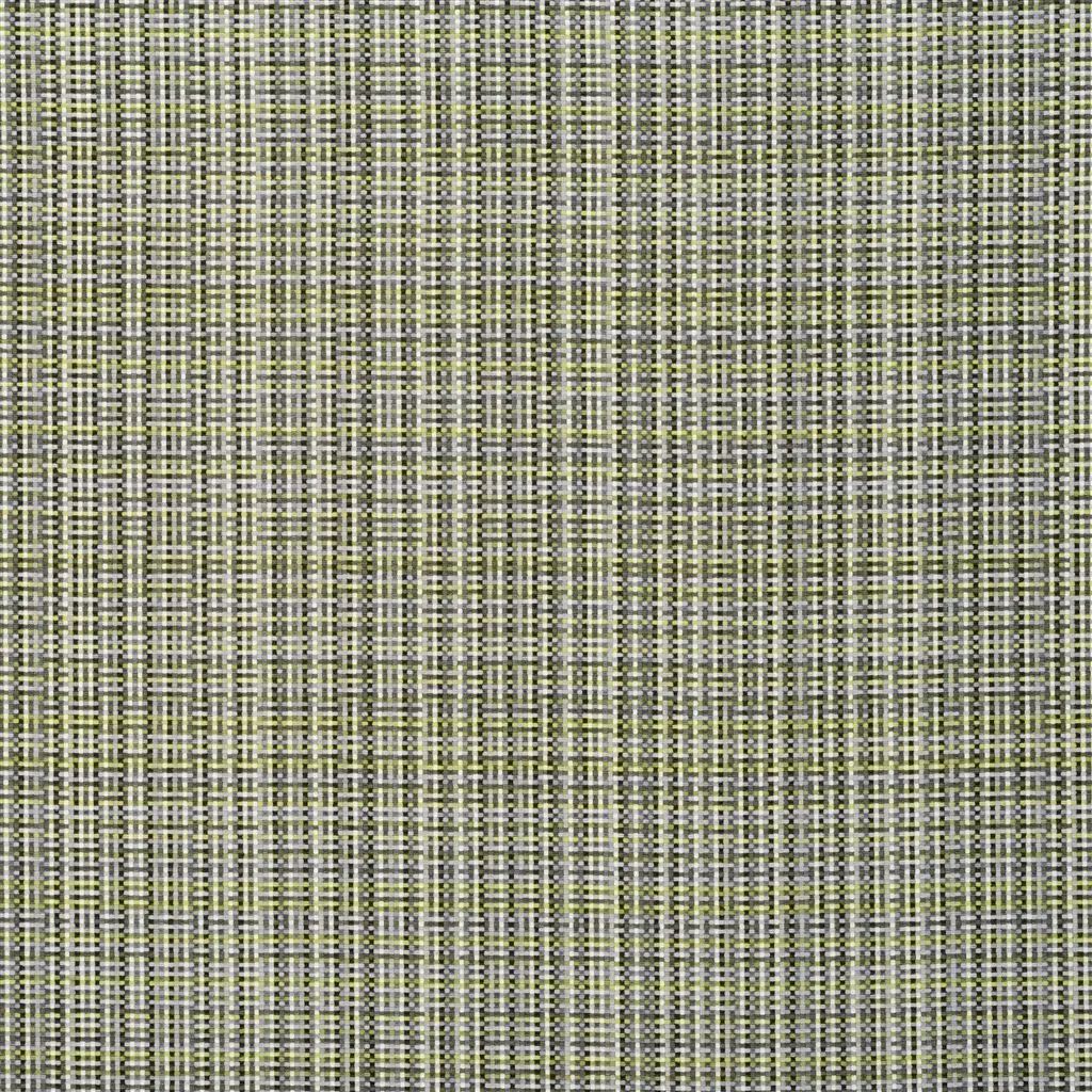 Designers Guild Tattersall 2 Fabric FDG2308-02