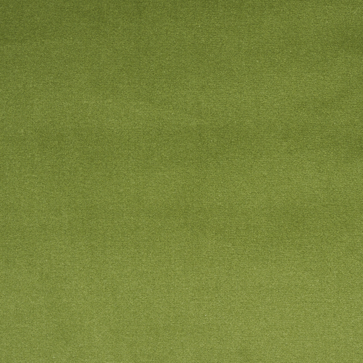 Schumacher Cotton Club Velvet Sage Fabric 43424