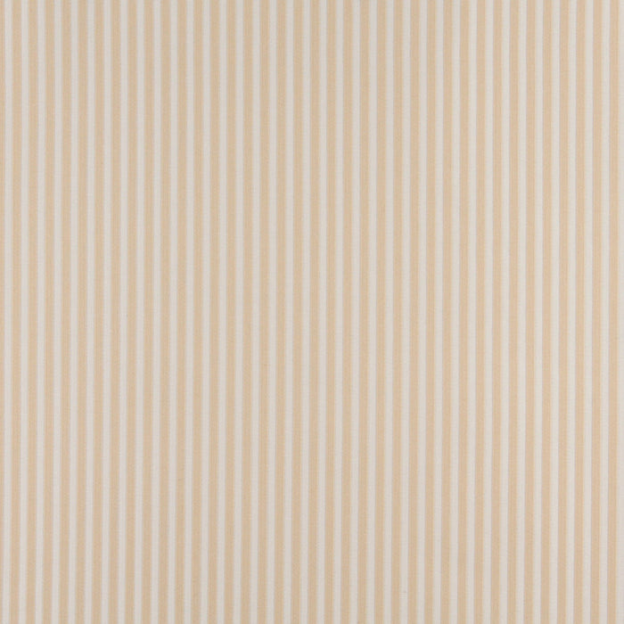 Charlotte Ecru Stripe Fabric Sample 4368