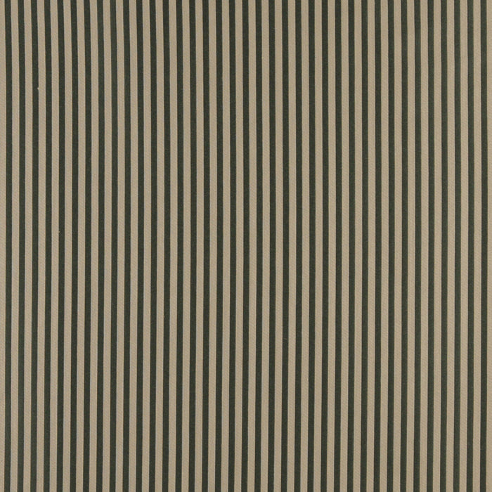 Charlotte Juniper Stripe Fabric Sample 4374