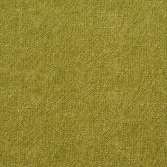 Charlotte Fern Fabric 4447