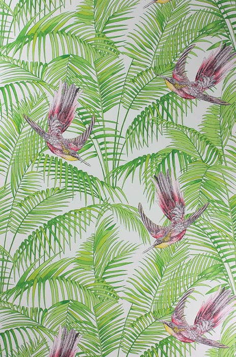 Matthew Williamson Sunbird 02 Wallpaper W6543-02