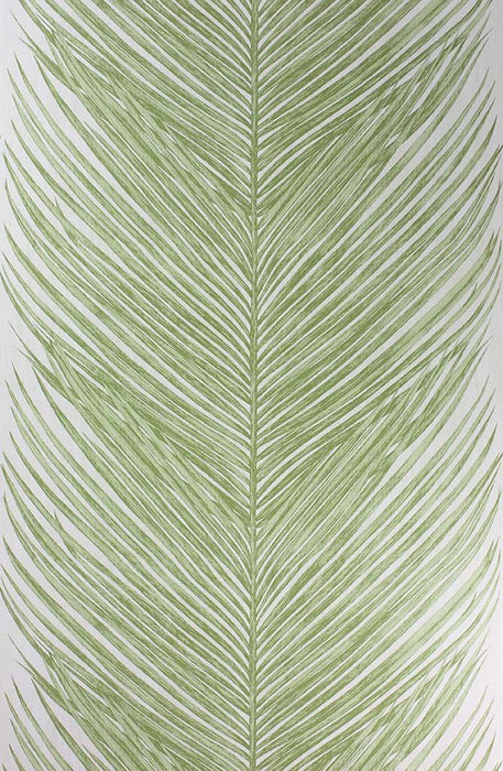 Nina Campbell Mey Fern 3 Wallpaper NCW4154-03