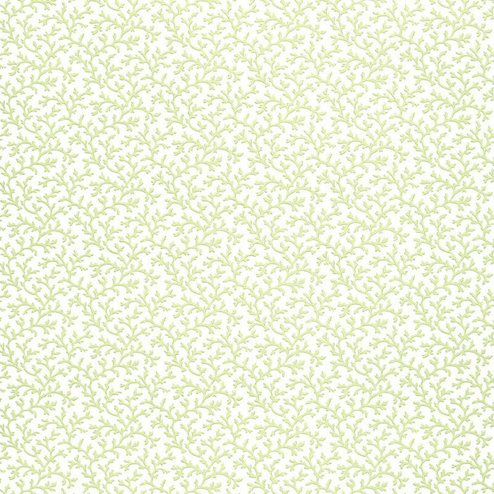 Schumacher Coral Vine Aloe Wallpaper 5004412