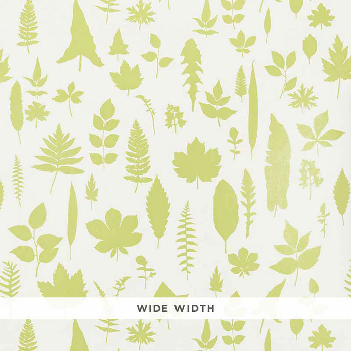 Schumacher Leaves Chartreuse Wallpaper 5005021