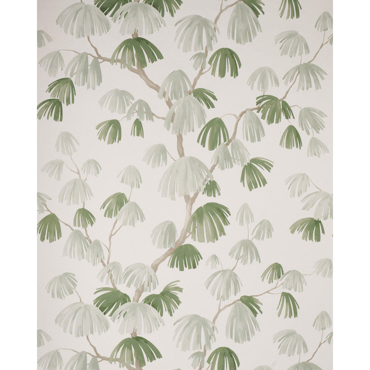 Schumacher Weeping Pine Sage Wallpaper 5008332