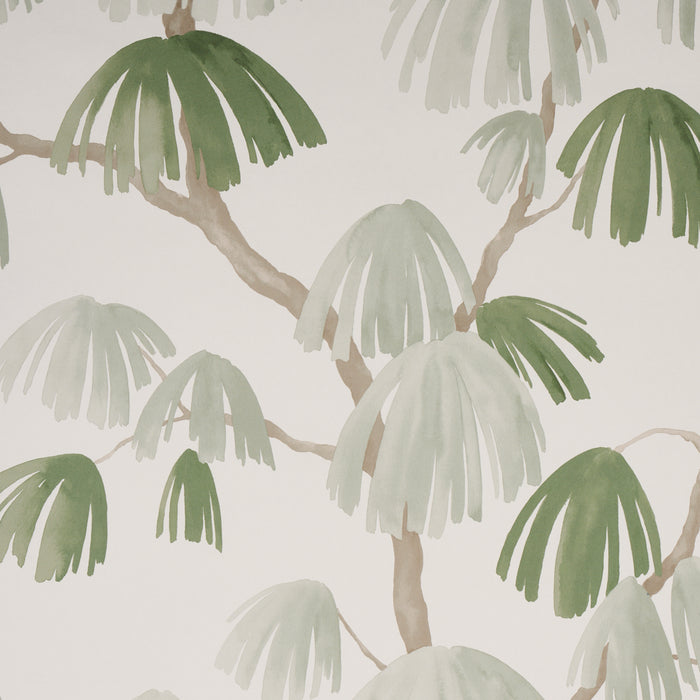 Schumacher Weeping Pine Sage Wallpaper 5008332