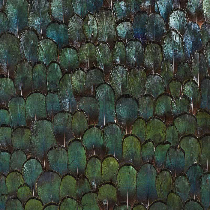 Schumacher Jade Forest Green Wallpaper 5008380