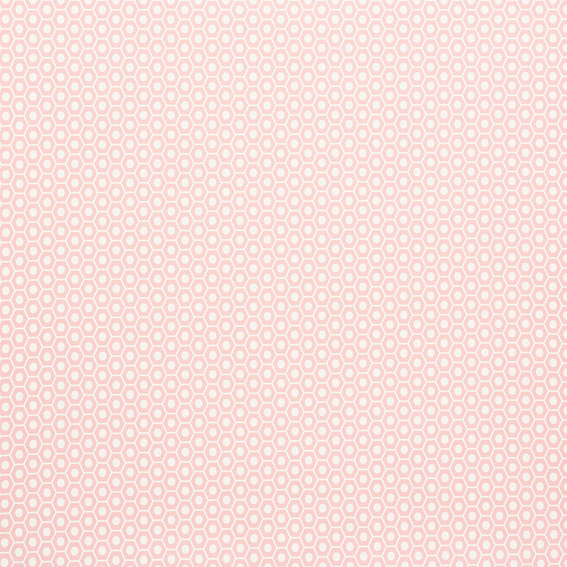 Schumacher Queen B Pink Wallpaper 5009570