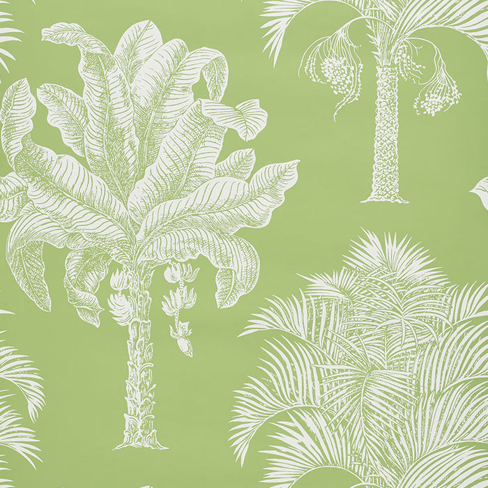 Schumacher Grand Palms Leaf Wallpaper 5009620