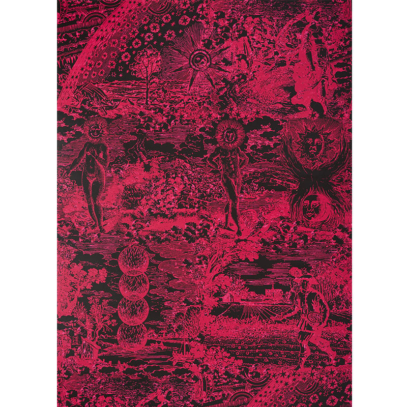 Schumacher Modern Toile Pink & Black Wallpaper 5010423