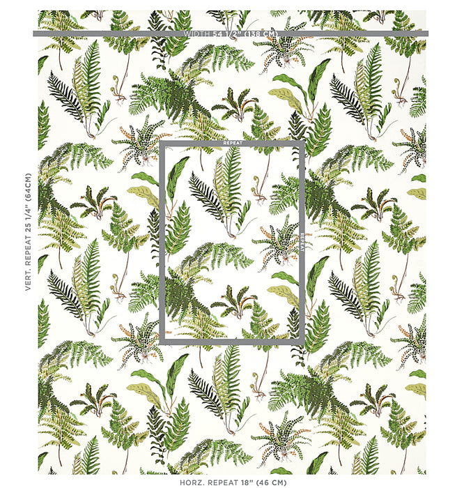 Schumacher Les Fougeres Document Wallpaper 5010660