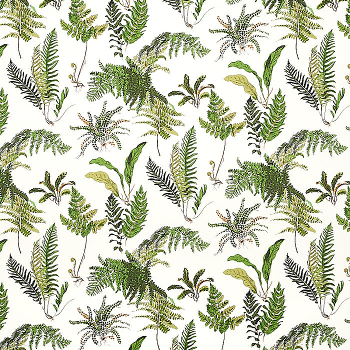 Schumacher Les Fougeres Document Wallpaper 5010660