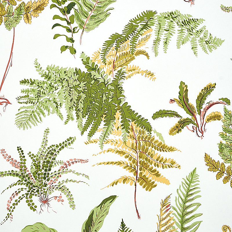 Schumacher Les Fougeres Spring Wallpaper 5010661