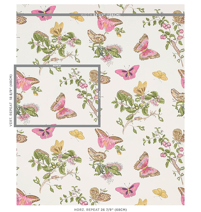 Schumacher Baudin Butterfly Blush Wallpaper 5010690