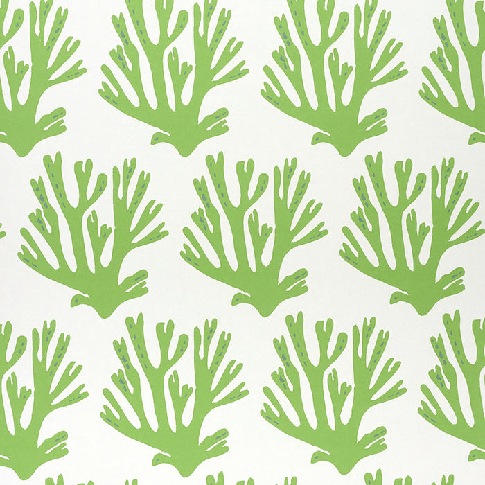 Schumacher Coral Green Wallpaper 5011200