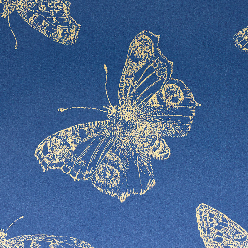 Schumacher Burnell Butterfly Blue Wallpaper 5011741