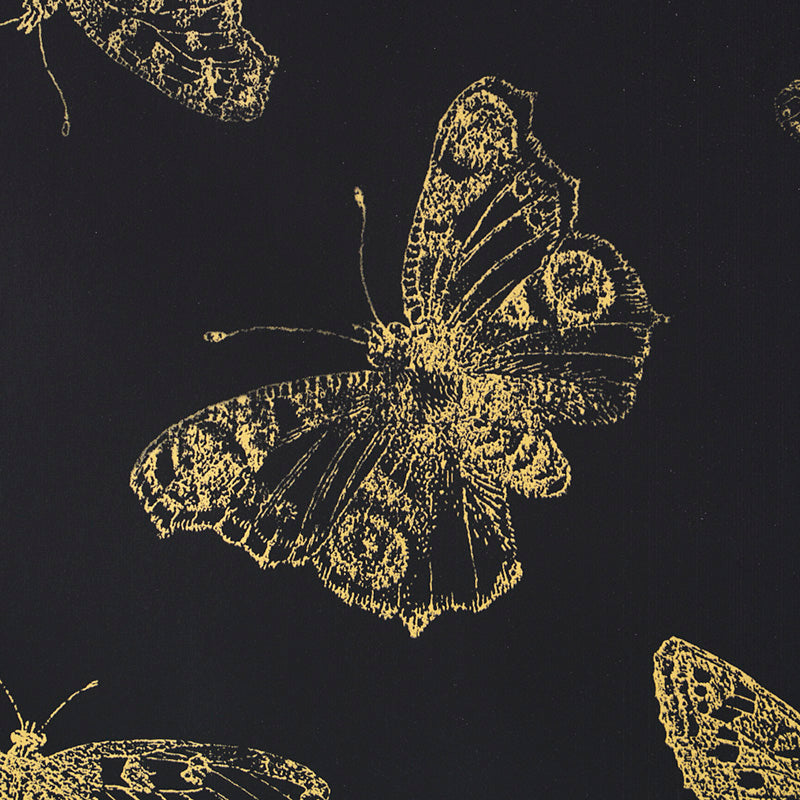 Schumacher Burnell Butterfly Black Wallpaper 5011742