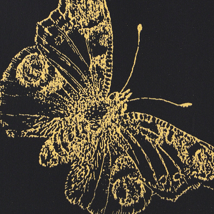 Schumacher Burnell Butterfly Black Wallpaper 5011742